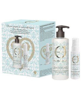 Barex Набор Полная защита от любых повреждений для всех типов волос (шампунь 250 мл + спрей-силер 100 мл)