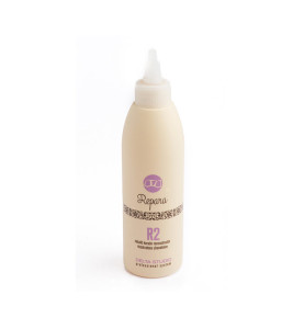 Delta Studio R2 / Восстановитель с кератином, 200 мл Delta Studio R2 / Восстановитель с кератином, 200 мл